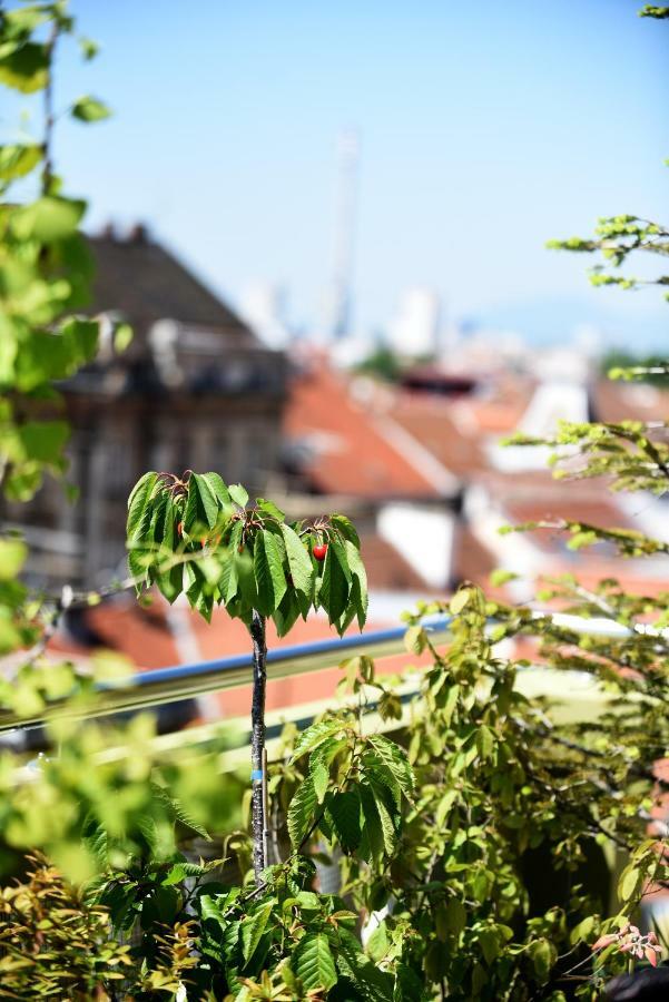 Zagreb Rooftops Εξωτερικό φωτογραφία